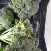 ヒメ日記 2025/04/08 09:56 投稿 ひなの沖縄美人 俺のジュニア