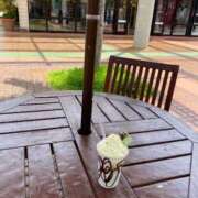 ヒメ日記 2025/07/22 16:56 投稿 ひなの沖縄美人 俺のジュニア