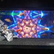 ヒメ日記 2025/07/23 03:26 投稿 ひなの沖縄美人 俺のジュニア