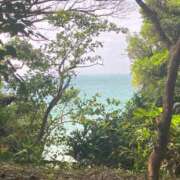 ヒメ日記 2025/08/12 11:09 投稿 ひなの沖縄美人 俺のジュニア