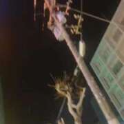 ヒメ日記 2025/09/22 02:36 投稿 ひなの沖縄美人 俺のジュニア