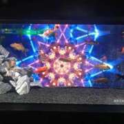 ヒメ日記 2025/10/21 03:26 投稿 ひなの沖縄美人 俺のジュニア