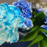 ヒメ日記 2025/10/23 02:26 投稿 ひなの沖縄美人 俺のジュニア