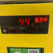 ヒメ日記 2025/10/30 16:56 投稿 ひなの沖縄美人 俺のジュニア