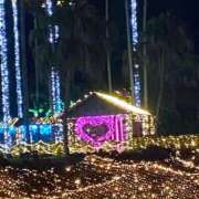 ヒメ日記 2025/12/09 23:36 投稿 ひなの沖縄美人 俺のジュニア