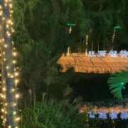 ヒメ日記 2025/12/19 02:16 投稿 ひなの沖縄美人 俺のジュニア