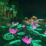 ヒメ日記 2025/12/19 03:06 投稿 ひなの沖縄美人 俺のジュニア