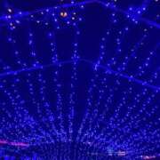 ヒメ日記 2025/12/24 23:59 投稿 ひなの沖縄美人 俺のジュニア