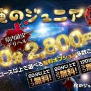 ヒメ日記 2026/01/12 05:16 投稿 ひなの沖縄美人 俺のジュニア