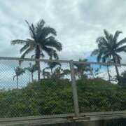 ヒメ日記 2026/01/23 03:26 投稿 ひなの沖縄美人 俺のジュニア