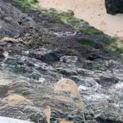 ヒメ日記 2026/02/06 18:18 投稿 ひなの沖縄美人 俺のジュニア