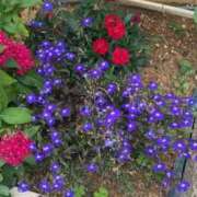 ヒメ日記 2026/04/22 22:26 投稿 ひなの沖縄美人 俺のジュニア