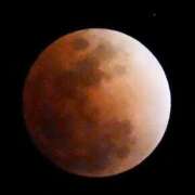 ヒメ日記 2026/04/22 23:47 投稿 ひなの沖縄美人 俺のジュニア