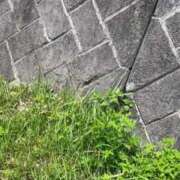 ヒメ日記 2026/05/17 14:35 投稿 ひなの沖縄美人 俺のジュニア