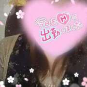 ヒメ日記 2025/02/23 22:56 投稿 ひろか爆乳は国宝です！ 俺のジュニア