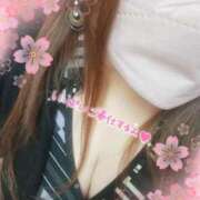 ヒメ日記 2025/04/05 20:06 投稿 ひろか爆乳は国宝です！ 俺のジュニア