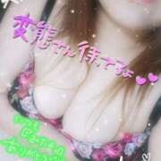 ヒメ日記 2025/04/07 03:16 投稿 ひろか爆乳は国宝です！ 俺のジュニア