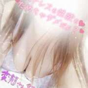 ヒメ日記 2025/04/13 22:36 投稿 ひろか爆乳は国宝です！ 俺のジュニア