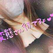 ヒメ日記 2025/05/20 14:36 投稿 ひろか爆乳は国宝です！ 俺のジュニア