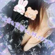 ヒメ日記 2025/06/03 01:26 投稿 ひろか爆乳は国宝です！ 俺のジュニア