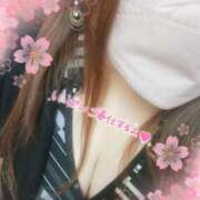 ヒメ日記 2025/09/14 02:33 投稿 ひろか爆乳は国宝です！ 俺のジュニア