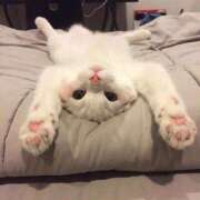 ヒメ日記 2025/09/16 01:56 投稿 ひろか爆乳は国宝です！ 俺のジュニア