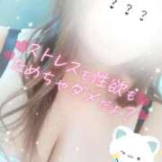 ヒメ日記 2025/11/07 01:46 投稿 ひろか爆乳は国宝です！ 俺のジュニア