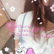 ヒメ日記 2025/11/15 19:31 投稿 ひろか爆乳は国宝です！ 俺のジュニア