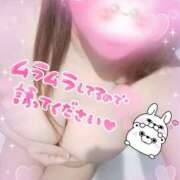 ヒメ日記 2025/12/31 16:16 投稿 ひろか爆乳は国宝です！ 俺のジュニア