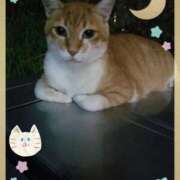 ヒメ日記 2026/02/03 20:07 投稿 ひろか爆乳は国宝です！ 俺のジュニア