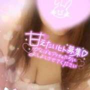 ヒメ日記 2026/08/09 17:06 投稿 ひろか爆乳は国宝です！ 俺のジュニア