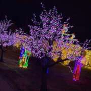 ヒメ日記 2024/12/28 12:19 投稿 のの FORTE