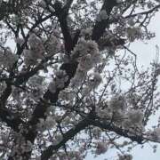 ヒメ日記 2026/04/01 12:02 投稿 みゆ 大塚デリヘル倶楽部