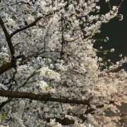 みゆ ごめんなさい、本日お休みします。 大塚デリヘル倶楽部