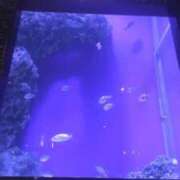 みゆ 昨日と今日に関しまして。 大塚デリヘル倶楽部