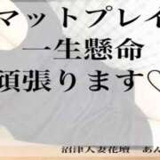 ヒメ日記 2024/03/29 10:53 投稿 あん 沼津人妻花壇