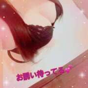 ヒメ日記 2025/07/18 14:48 投稿 あん 沼津人妻花壇