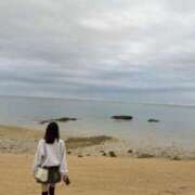 ヒメ日記 2025/03/17 12:28 投稿 ゆら 秋葉原コスプレ学園in西川口