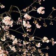 ヒメ日記 2025/03/18 13:53 投稿 ゆら 秋葉原コスプレ学園in西川口