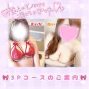 ヒメ日記 2025/12/02 10:01 投稿 まいな 山梨甲府甲斐ちゃんこ