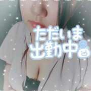 ゆかり こんにちは ぽっちゃり巨乳素人専門　西船橋ちゃんこ