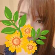 ヒメ日記 2025/07/02 11:30 投稿 のぞみ 渋谷角海老