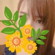 ヒメ日記 2025/10/12 12:00 投稿 のぞみ 渋谷角海老