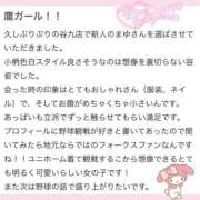 ヒメ日記 2025/11/18 11:32 投稿 まゆ 大阪はまちゃん 谷九店