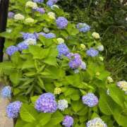 ヒメ日記 2025/05/27 09:50 投稿 なお ピュアコス学園