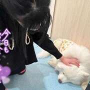 ヒメ日記 2025/03/19 19:49 投稿 はるか バカンス学園　谷九校