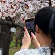 ヒメ日記 2025/04/04 12:24 投稿 はるか バカンス学園　谷九校