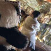 ヒメ日記 2025/05/11 17:13 投稿 はるか バカンス学園　谷九校