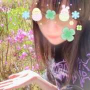 ヒメ日記 2025/04/09 15:30 投稿 にこ Sakura Spa