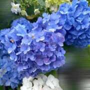 ヒメ日記 2025/06/12 10:31 投稿 にこ Sakura Spa